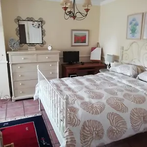 https://adosado-puerto-marina.hotelsinnerja.org