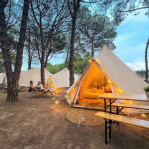 https://kampaoh-palams.topcostabravahotels.com